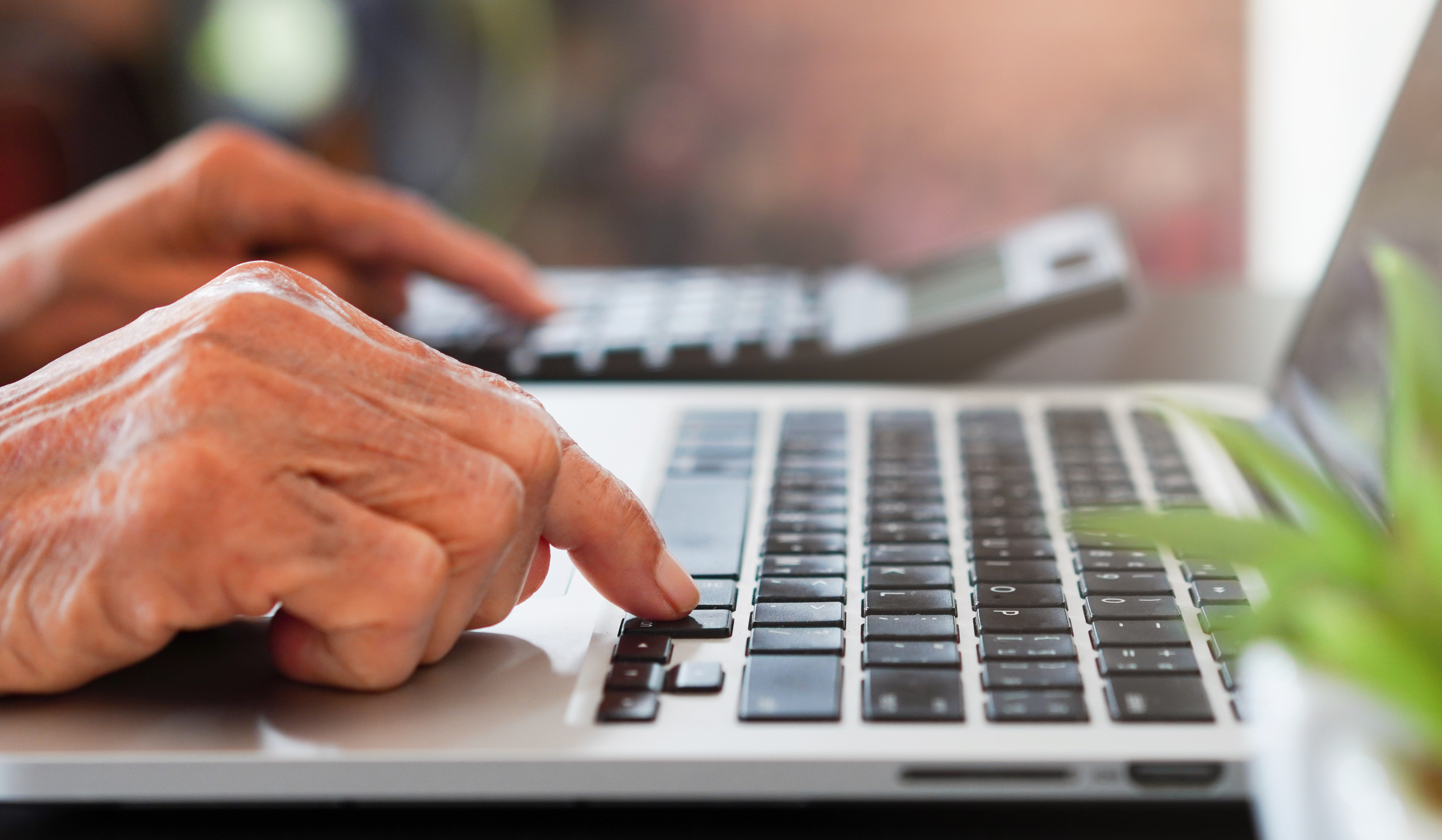 AdobeStock_278788169