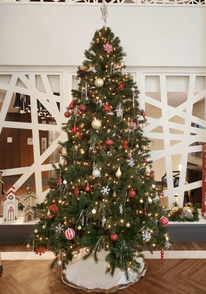 Turners Rock (MO) residents take charming Christmas photos with Santa.