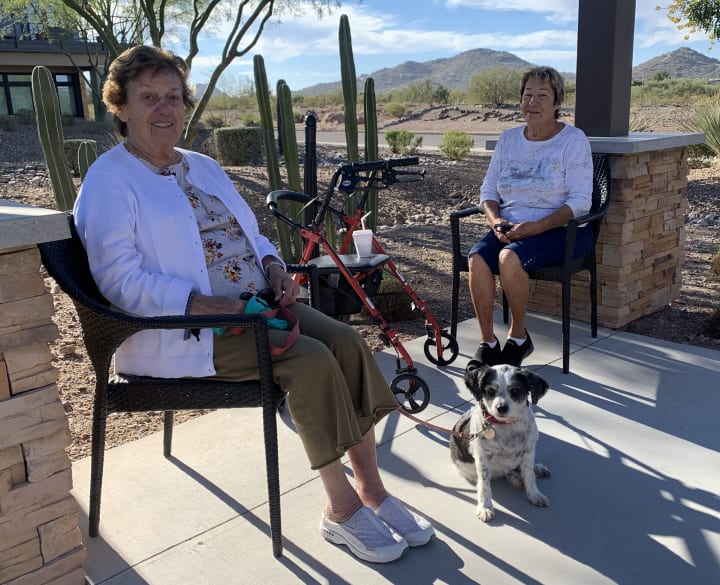 Anthem (AZ) residents enjoyed some company with furry friends.