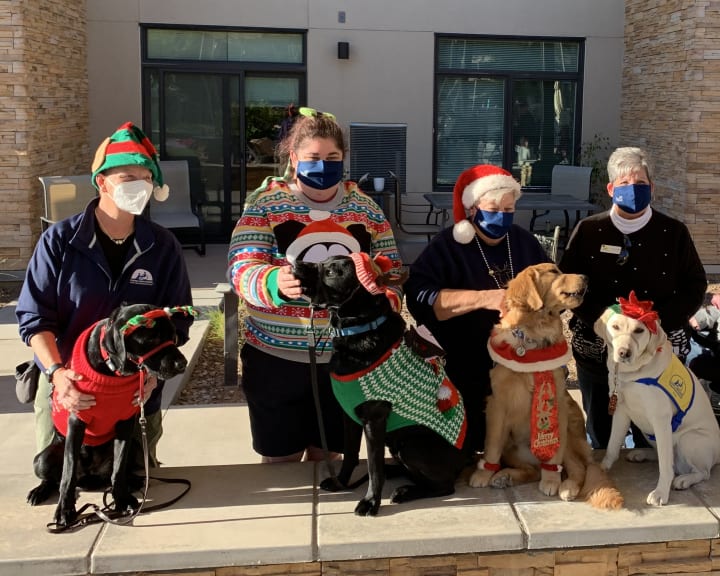 Anthem (AZ) residents enjoyed some company with furry friends.