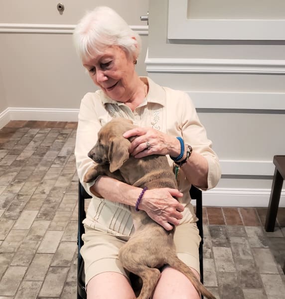 Woman holds puppy in her lap