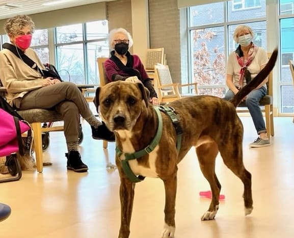 Ballard (WA) enjoyed the company of some adorable furry friends. Pictured: Charlie