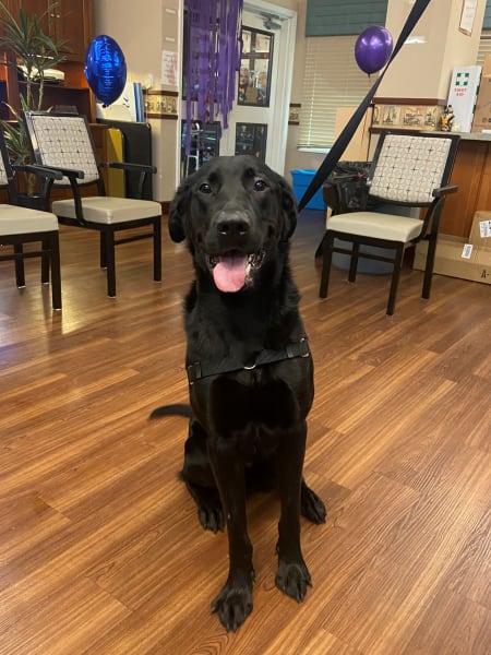 Moose, the community service dog, had his first birthday!