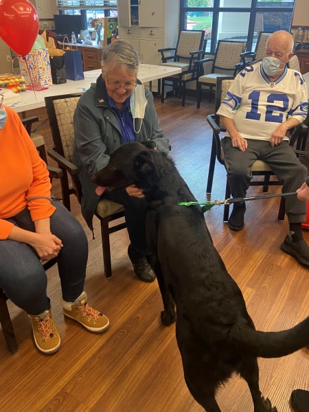 Moose, the community service dog, had his first birthday!