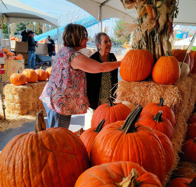 Clovis residents visited their local pumpkin patch to pick out their very own pumpkins!