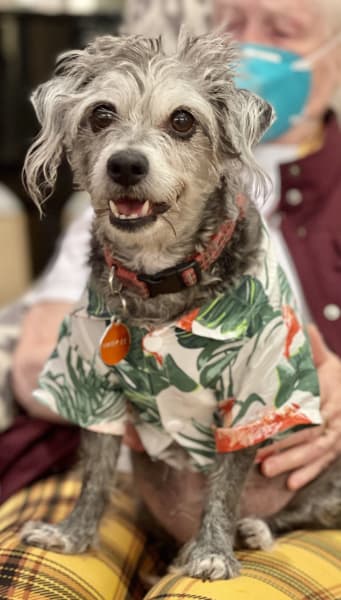 First Hill (WA) residents spent time with their favorite furry friend!