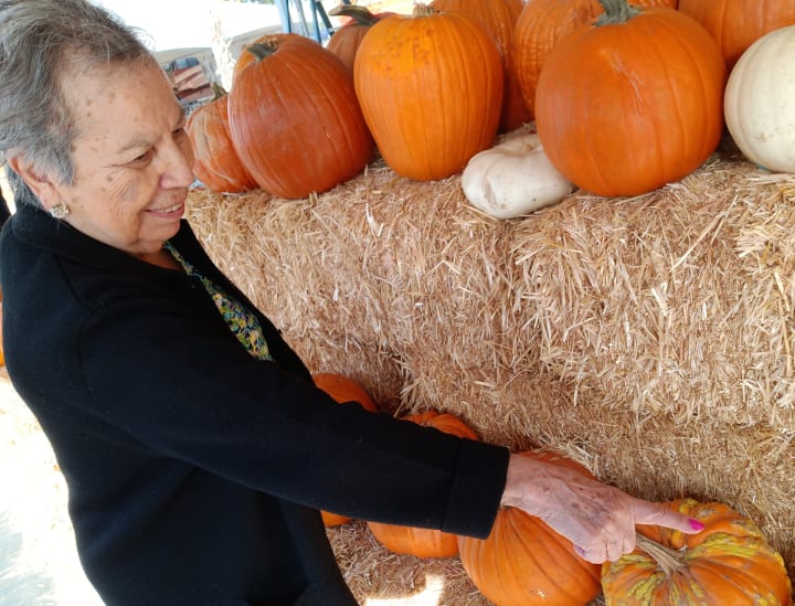 Clovis residents visited their local pumpkin patch to pick out their very own pumpkins!