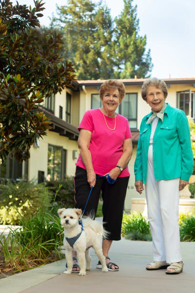 Residents walking their dog at Merrill Gardens at Campbell