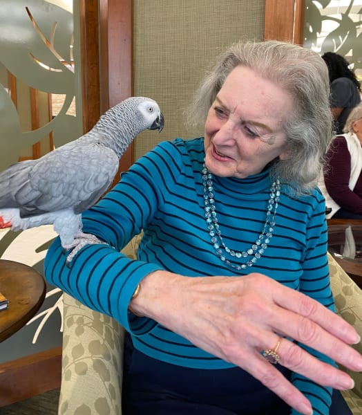 One Woodstock resident shows her biggest smile as she enjoys the exotic bird show!